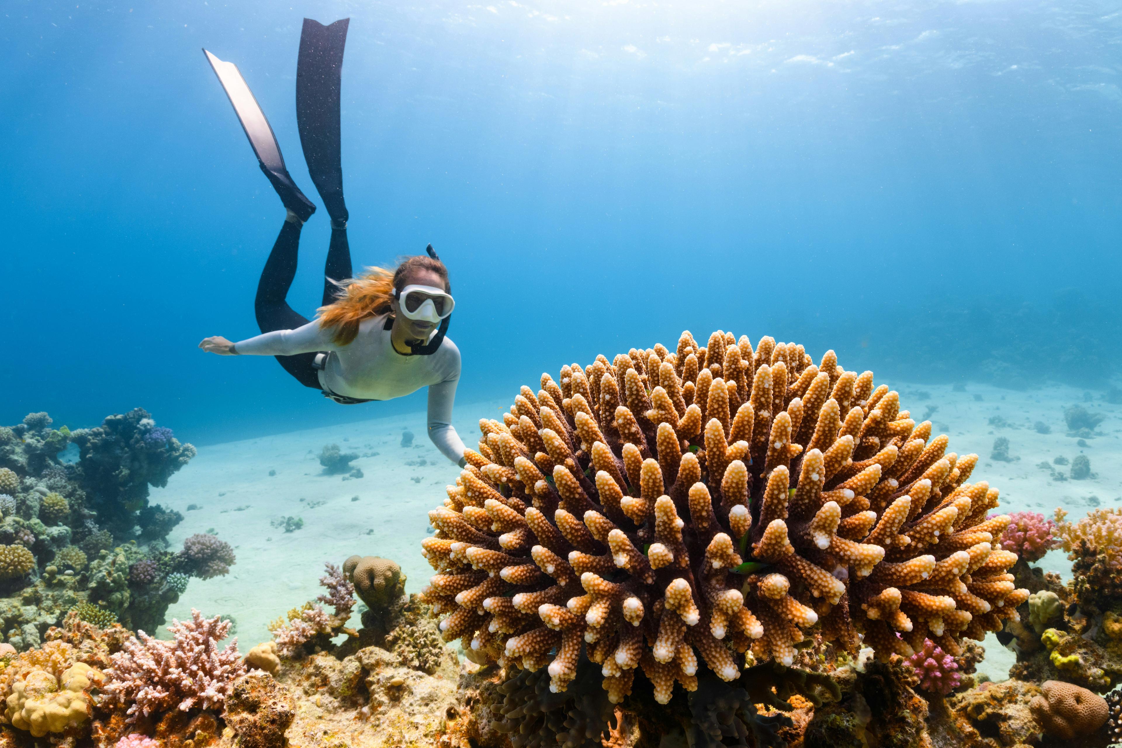 diving under water